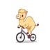 Camelcomedy.Com Logo